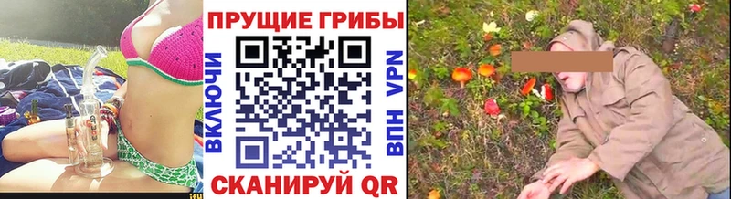 магазин    Комсомольск-на-Амуре  Псилоцибиновые грибы прущие грибы 