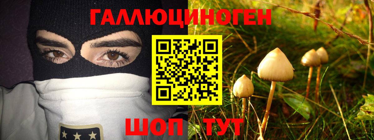 Галлюциногенные грибы MAGIC MUSHROOMS Комсомольск-на-Амуре