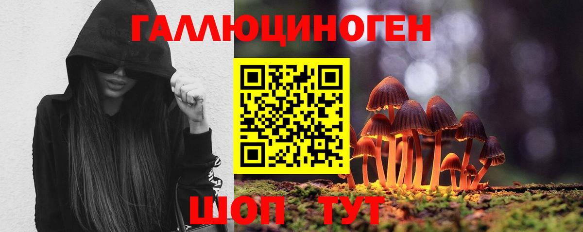 Псилоцибиновые грибы Комсомольск-на-Амуре